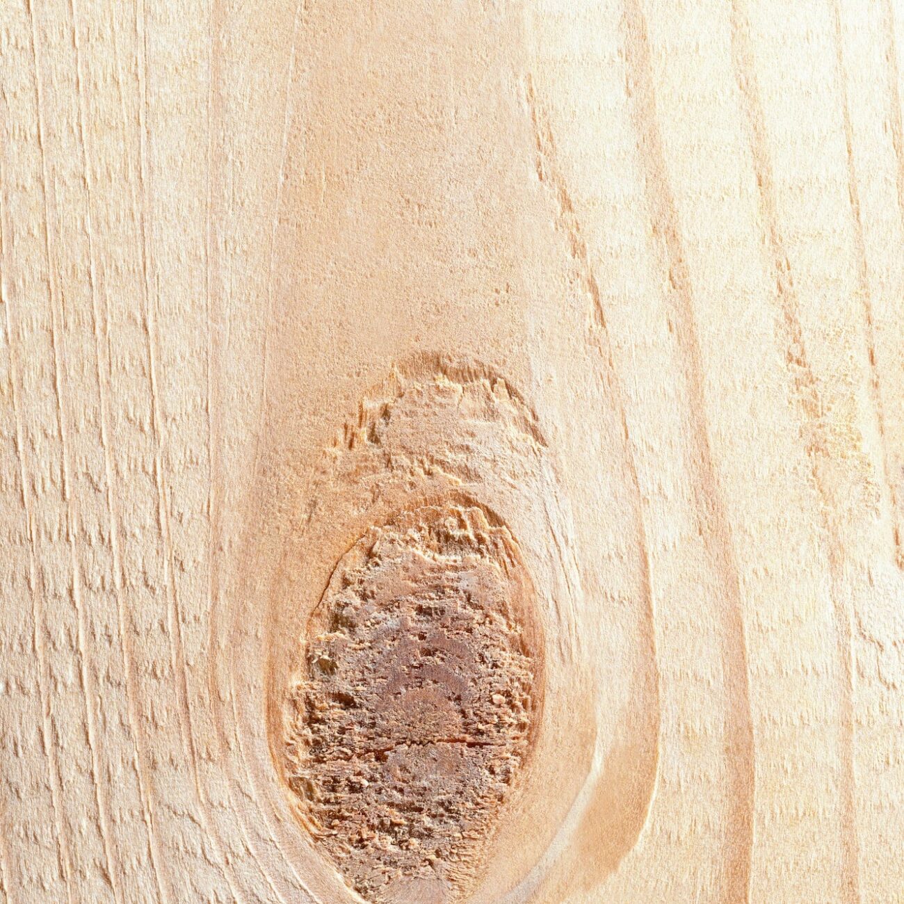 تشريب خشب التنوب