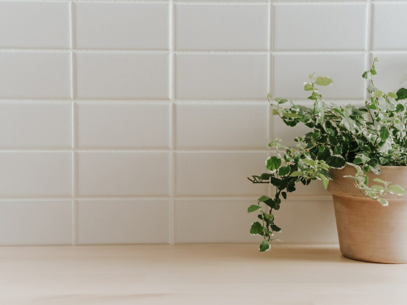Ceramic tiles with plant