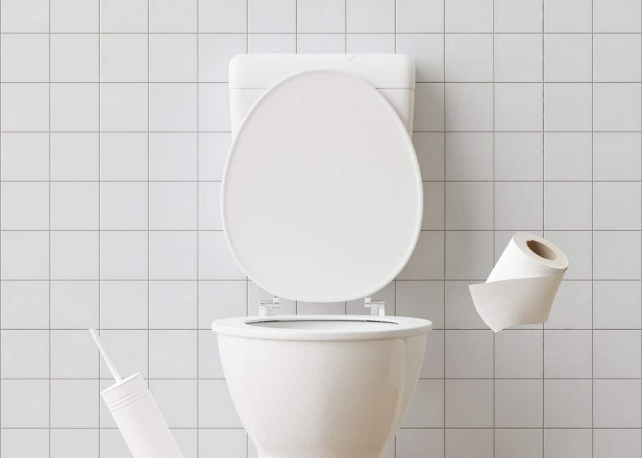 White ceramic toilet
